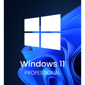 Windows 11 Professional Activation Key