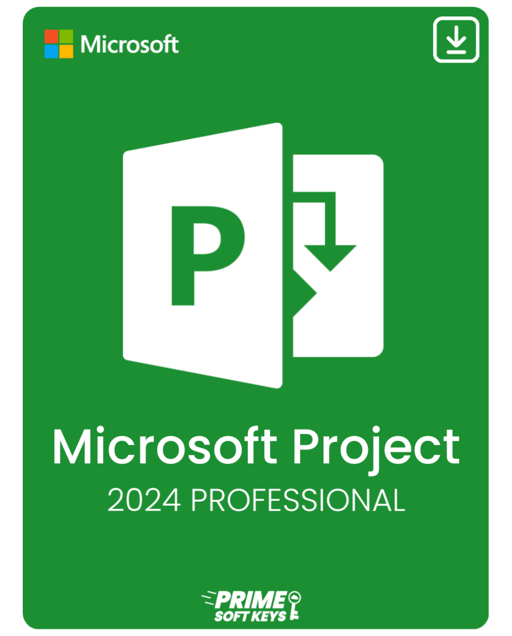 Project 2024 Professional Activation Key – (PC)