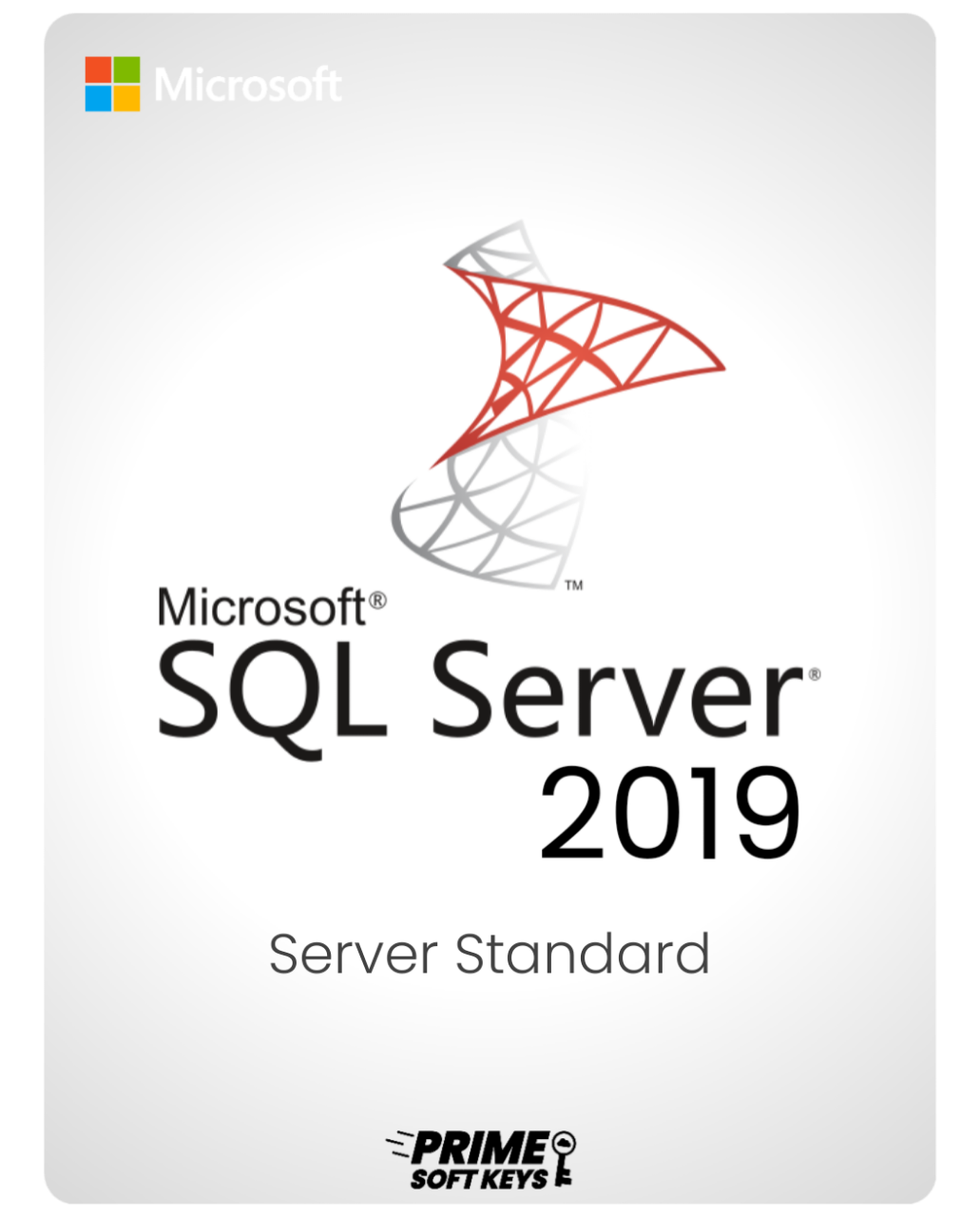 SQL Server 2019 standard Activation key – 1 USER